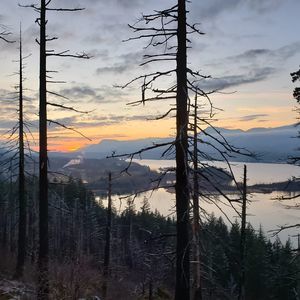 Meet your Posher, Logan